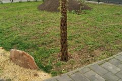 IMG_20250417_181303-scaled